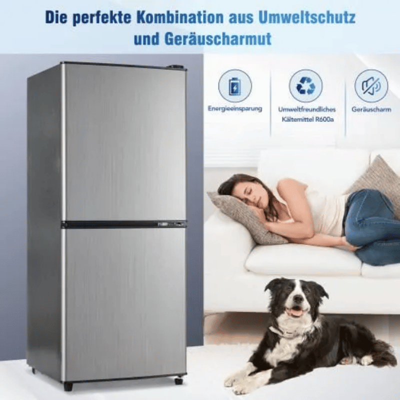 Réfrigérateur bi-zone basse consommation 106L réfrigérateur 60L + congélateur 4 étoiles 46L, 7 réglages de température éclairage